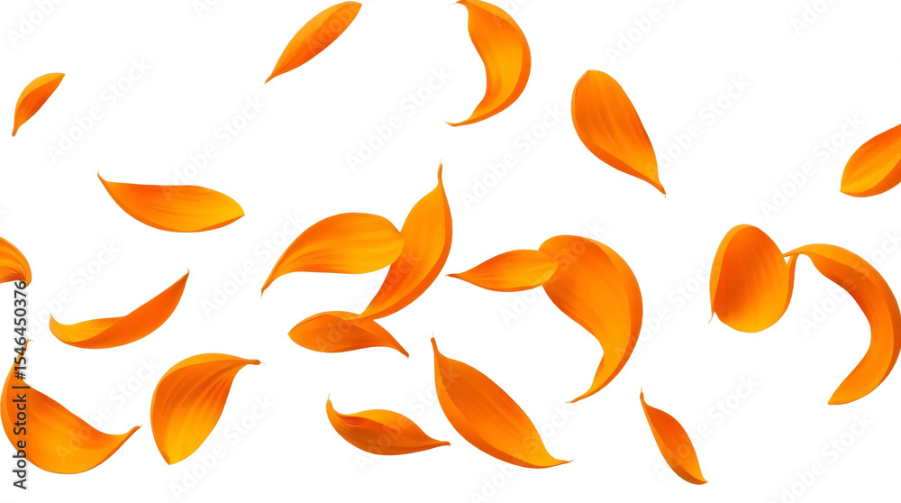 Fototapeta premium Flying orange petals isolated on transparent background