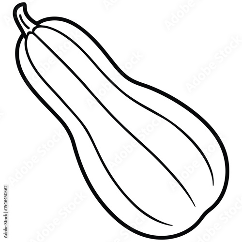 Line art drawing of a butternut squash vegetable