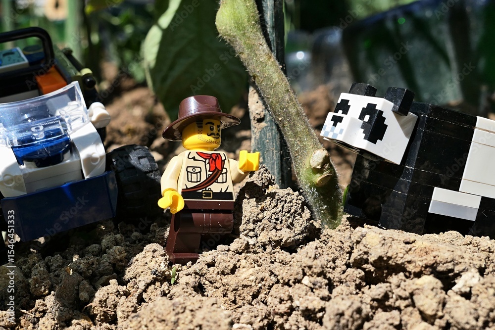 Fototapeta premium LEGO City figure of jungle explorer with hat like Indiana Jones, with ATV buggy behind his back, examining stalk of tomato plant with LEGO Minecraft panda. Late spring daylight sunshine.