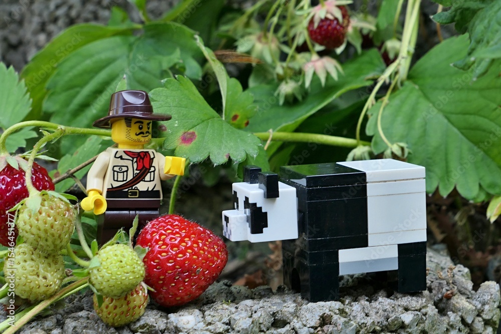 Naklejka premium LEGO City Jungle adventurer, similar to Indiana Jones character, watching giant LEGO Minecraft panda sniffing around fresh ripe red strawberry from strawberry plant on concrete garden fitting.