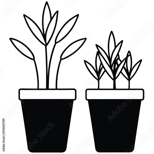 Two potted plants illustration black and white