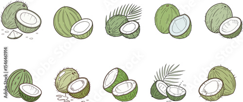 green coconut with leaf logo set vector illustration