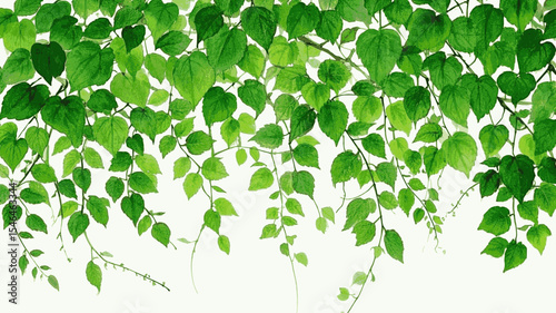Translucent Growth Vine isolated watercolor vector illustration svg