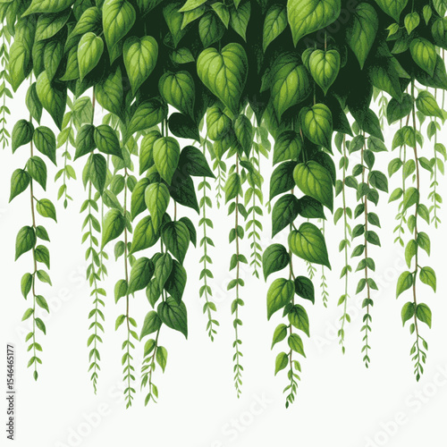 Silent Climb Vine isolated watercolor vector illustration svg