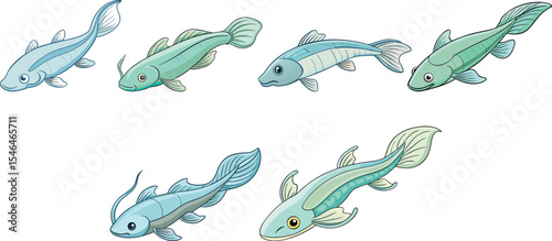catfish set vector illustration