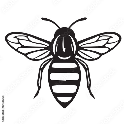 A black and white vector illustration of a bee, viewed from above, with striped body, detailed wings, and antennae.