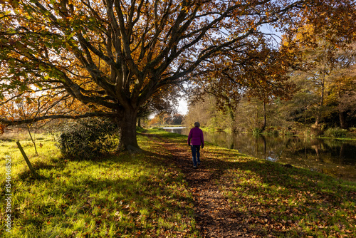 Senior lady walks on the footpath alongside the River Wey Navigation canal in Autumn, near the village of Ripley and close to Woking, Surrey