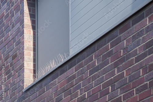 Принти на полотні Anti bird spikes protecting building window ledge from pigeon roosting