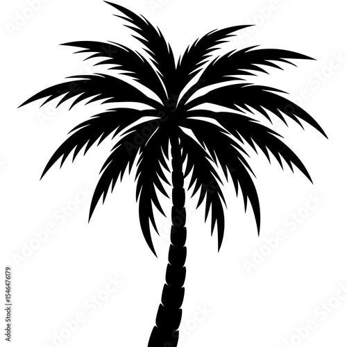  Palm Tree Vector – Tropical Tree Silhouette