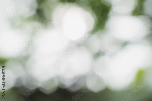 A serene, blurred background featuring bright, soft bokeh lights, creating a peaceful and dreamy natural ambiance with a gentle green hue.