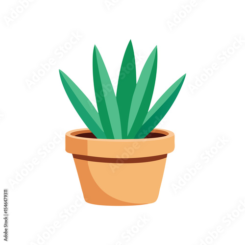 cactus in a pot isolated