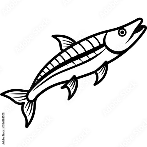 Barracuda line art vector