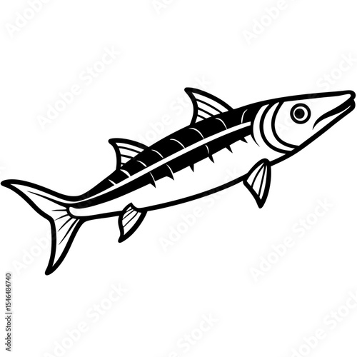 Barracuda line art vector
