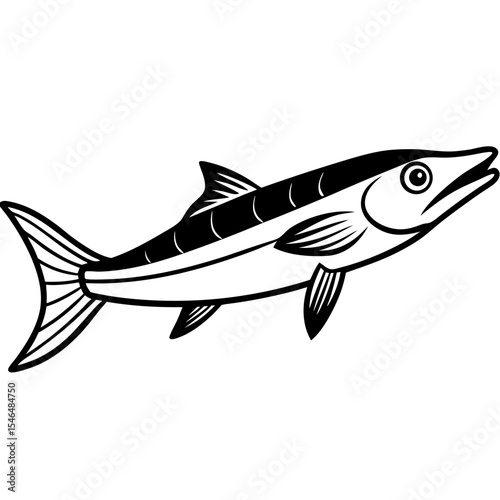 Barracuda line art vector