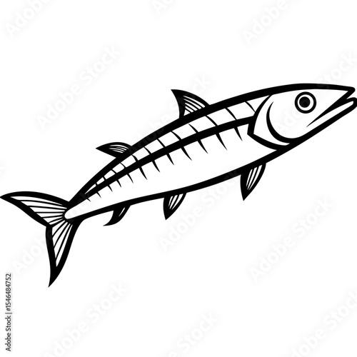 Barracuda line art vector
