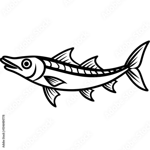 Barracuda line art vector