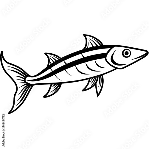 Barracuda line art vector