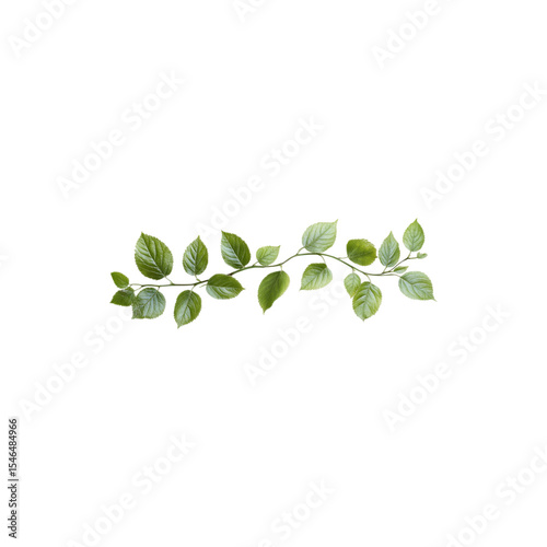 Fresh green spring leaf frame border design isolated on white background