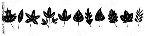 Autumn Leaf Silhouette Set with Veins. Decorative Black Leaves with Natural Contours. Botanical Design Elements for Fall, Nature, Ecology, or Seasonal Projects.