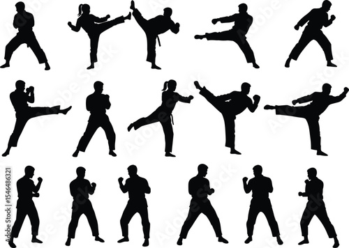 Martial arts fighter silhouettes, karate taekwondo kickboxing styles, self-defense poses, training practice, high kick motion, fitness sports concept, dynamic combat illustration, vector art