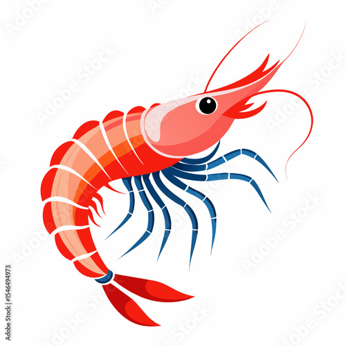 shrimp vector illustration