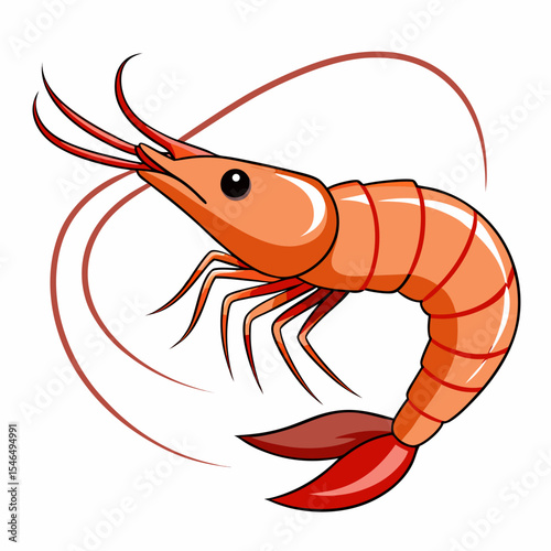 vector illustration of shrimp