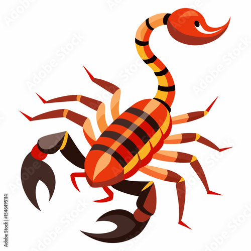 scorpion isolated on white background