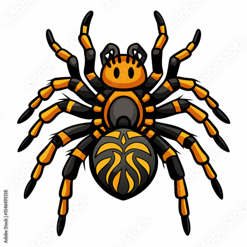 spider on a white background