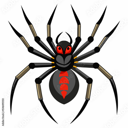 spider on a white background