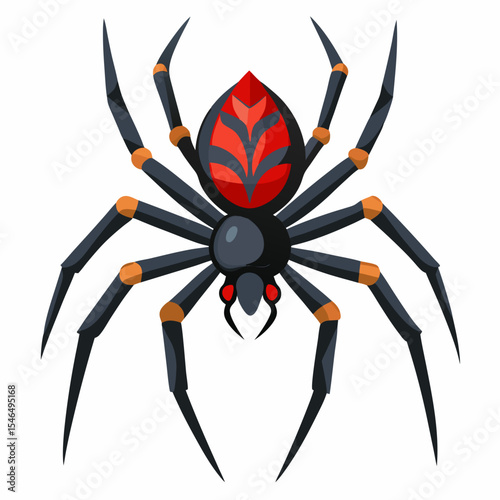 spider on a white background