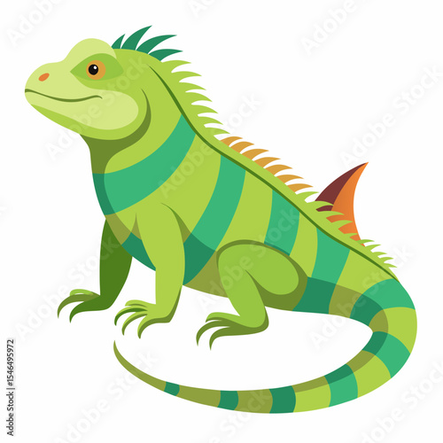 green iguana on white background
