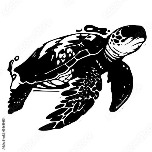Isolated black and white turtle illustration