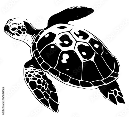 Isolated black and white turtle illustration