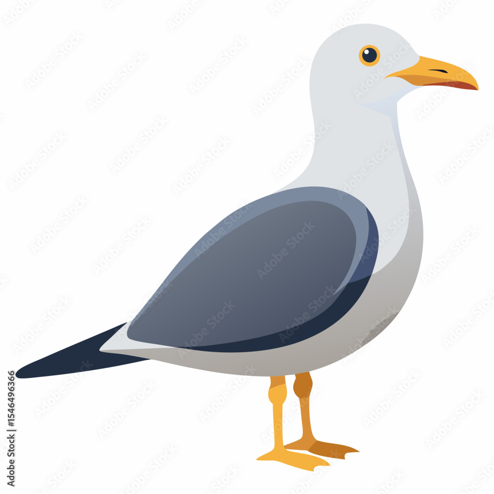 Obraz premium duck isolated on white