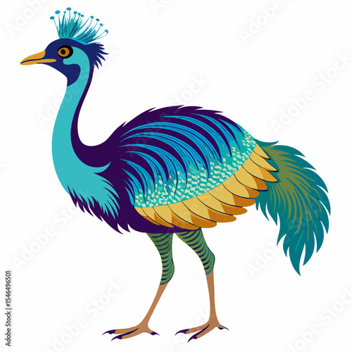 peacock isolated on white