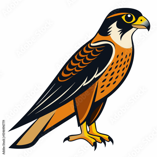 bird of prey