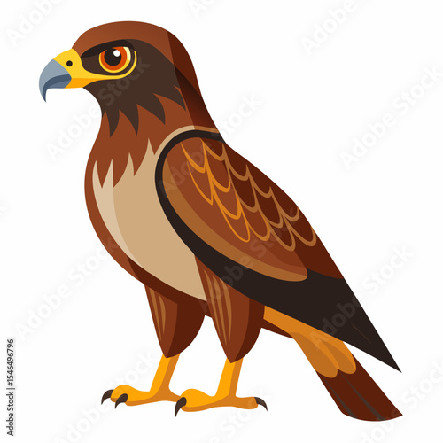 red tailed hawk