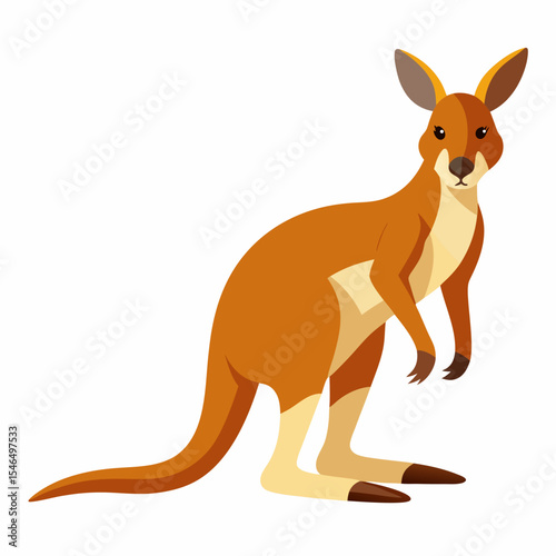 kangaroo with baby