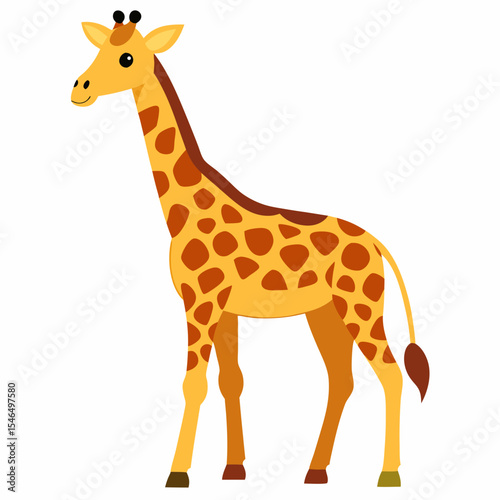 giraffe isolated on white