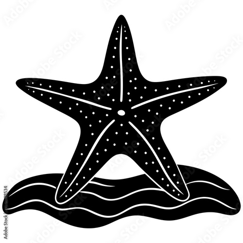 Starfish on the sea isolated on white background