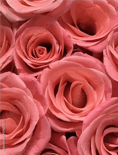 red roses background
