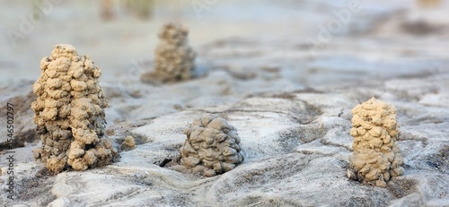 Φωτογραφία A collection of crawdad burrows.