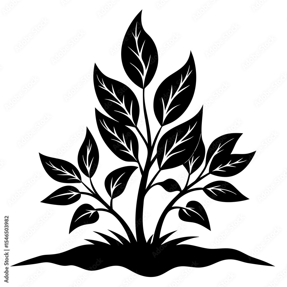 Fototapeta premium Plant with leaves isolated on white background