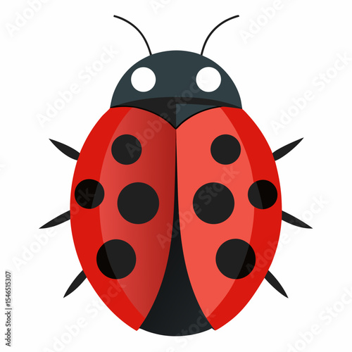Simple cartoon ladybug illustration for children