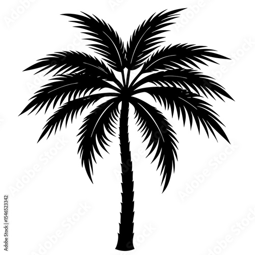 palm tree silhouette