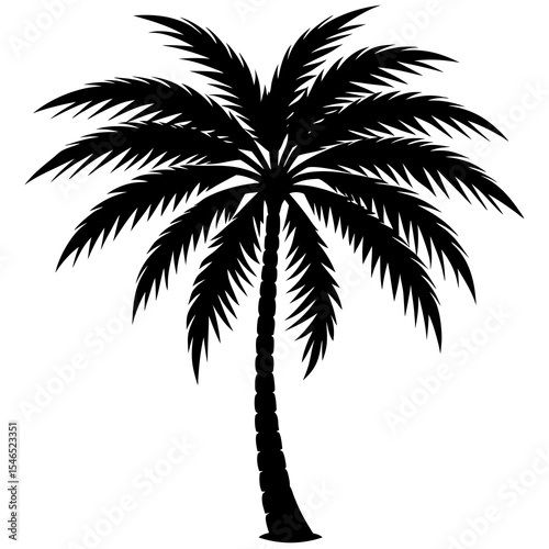 palm tree silhouette
