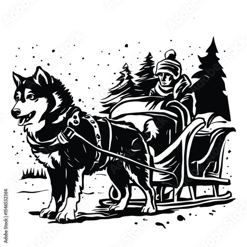 A sturdy dog, possibly a Siberian Husky, harnessed to a sleigh