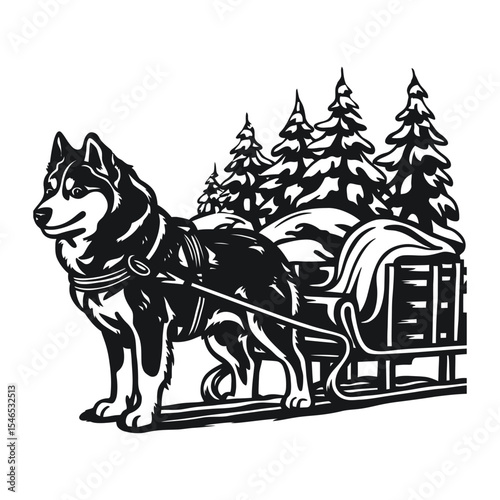 A sturdy dog, possibly a Siberian Husky, harnessed to a sleigh