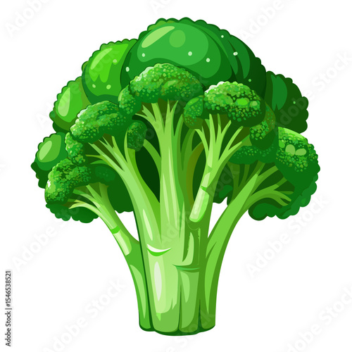 Fresh green broccoli vegetable illustration