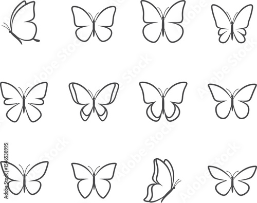 Simple Butterfly Outline Vector - Minimalist Insect Line Art